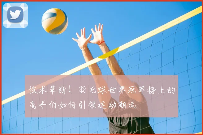 技术革新！羽毛球世界冠军榜上的高手们如何引领运动潮流